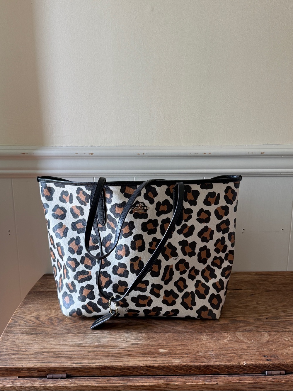 Coach Leopard Ocelot Print City Tote Bag